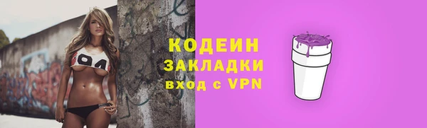 индика Гусев