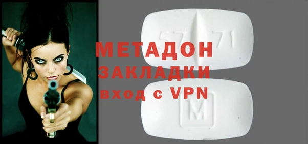 индика Гусев